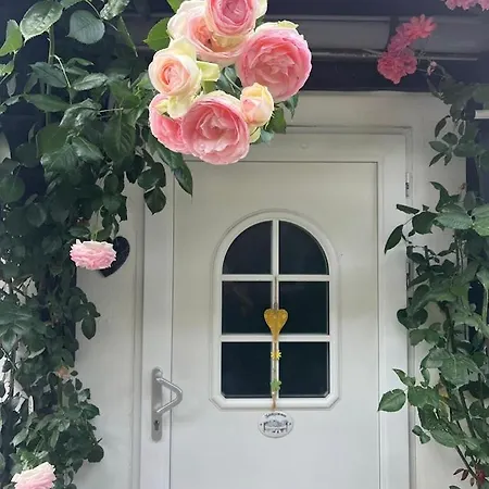 Heyne Weinboehla
