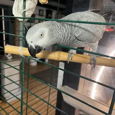 Apartman Heyne Weinböhla