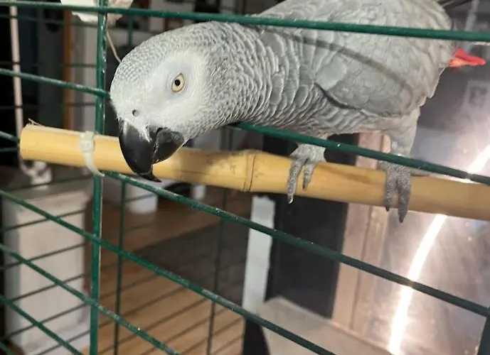 Apartment Heyne Weinboehla